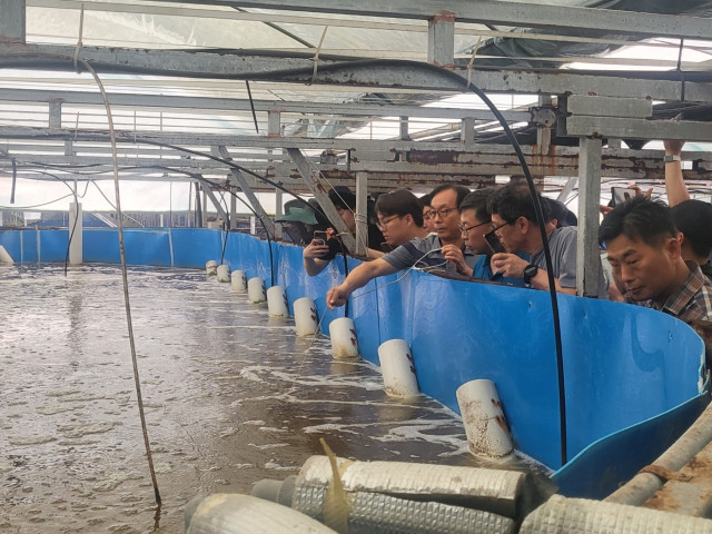 주말체험프로그램 참여자들이 ‘청정수산’의 새우 양식장 견학하는 모습. 어촌어항공단 제공
