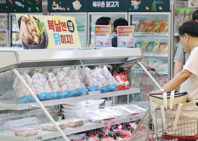 초복을 하루 앞둔 지난 14일 서울의 한 대형마트에서 시민들이 삼계탕용 닭을 고르고 있다. 연합뉴스