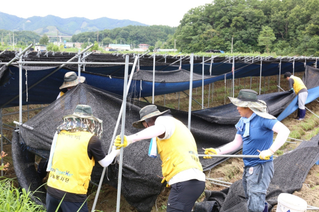 지난 23일 충남 금산군 부리면에서 한국남동발전 봉사단들이 집중호후로 피해를 입은 시설을 정비하고 있다. 남동발전 제공