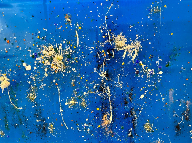 가마에서 나온 유리판 위에 유리 가루와 식물이 붙어 새로운 이미지를 만들어냈다. 작가 제공