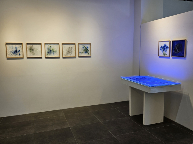 한스갤러리에서 열리고 있는 이정윤 작가 전시 전경. 김효정 기자