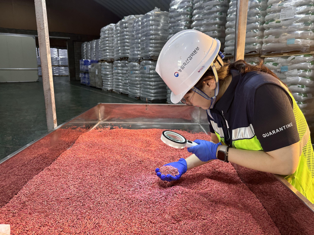 농림축산검역본부 영남지역본부 검역관이 현장 조사를 진행하는 모습. 농립축산검역본부 영남지역본부 제공