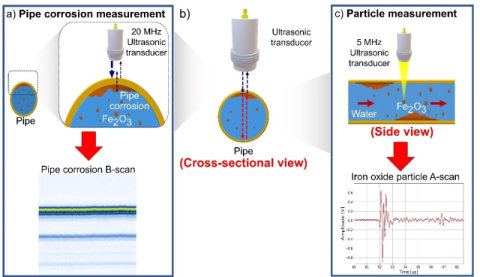 초음파와 인공지능을 이용한 이중진단시스템 모식도.국립부경대 제공