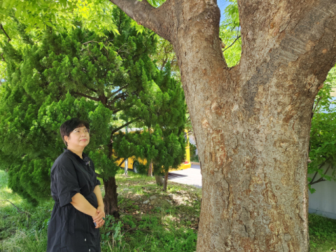 정희경 시조시인이 해운대 부산시립미술관 앞에서 오래된 나무를 올려다 보고 있다.