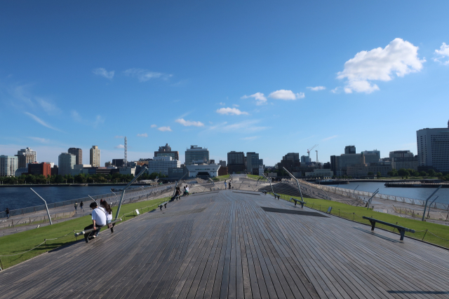 오산바시 국제여객터미널 위에 나무 데크와 잔디가 조성되어 있다.