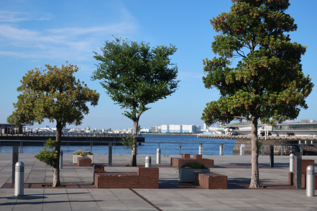 일본 요코하마 미나토미라이21 항만 앞 녹지 공간이 조성되어 있다.