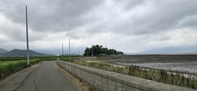 남해읍과 이동면을 잇는 해안도로 6.5km 구간에 설치된 전봇대 모습. 주민들이 반발하면서 사업이 전면 중단된 상태다. 독자 제공