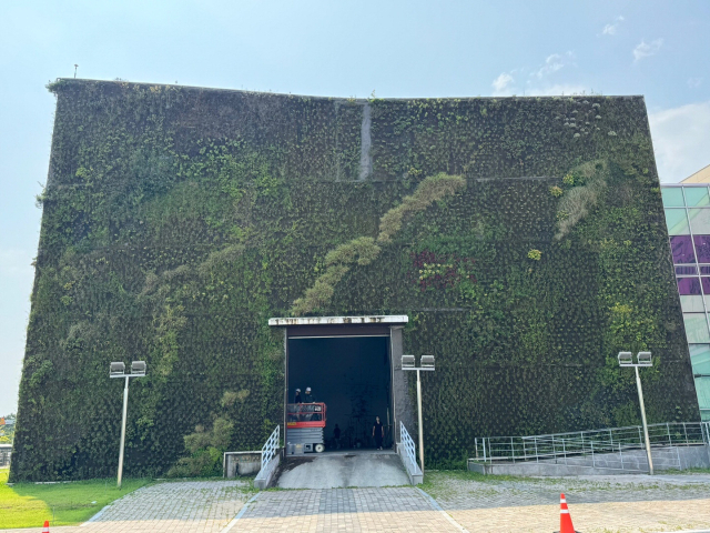 부산현대미술관 외벽에 조성된 식물이 연일 계속되는 불볕더위로 고사 위기에 처했다. 4일 오후 건물 외벽 상당 부분에서 식물이 말라 죽어 휑한 모습을 연출하고 있다. 손희문 기자 moonsla@