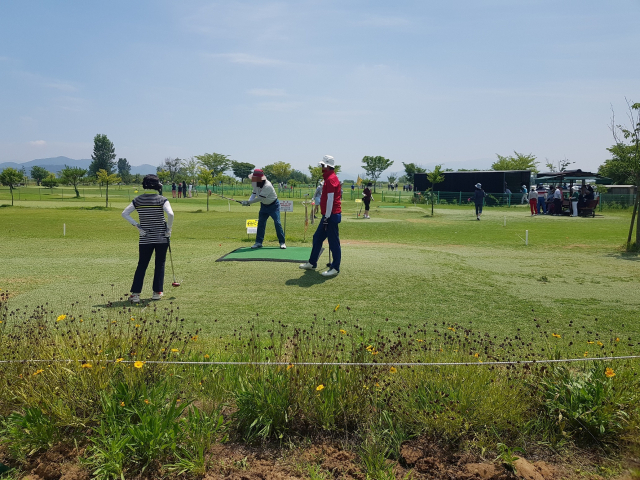 경남 창원시 의창구 대산파크골프장 이용자들이 파크골프를 즐기고 있다. 창원시 제공