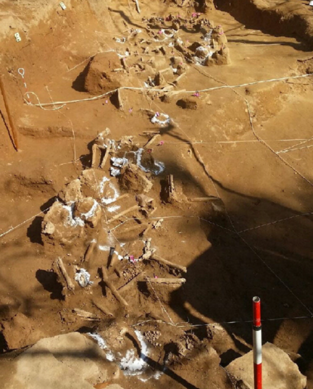 경남 진주시 명석면 용산리 용산고개의 국민보도연맹사건 유해 발굴 현장. 부산일보DB