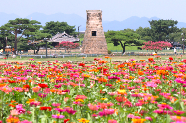 경북 경주시 첨성대 주변에 백일홍과 배롱나무꽃 등 다양한 꽃이 화사하게 피어 있다. 남태우 기자