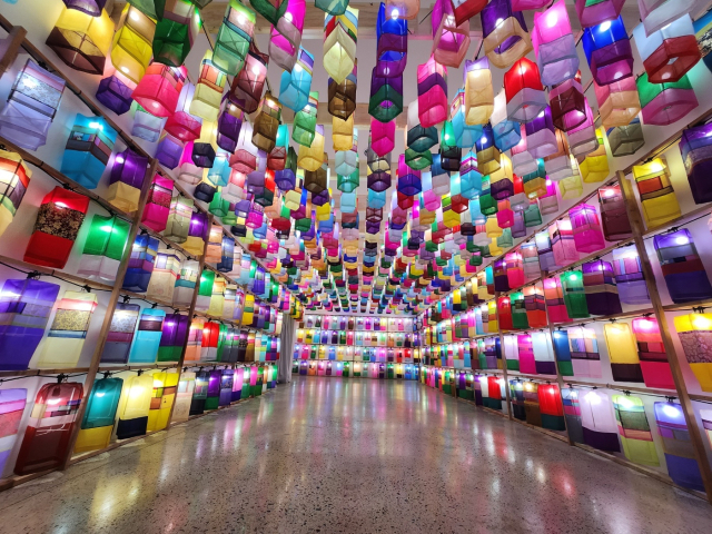 실크등 터널 모습. 10월 초 제주에서 역대 최장·최대 규모의 실크등 터널을 볼 수 있을 전망이다. 순실크 제공