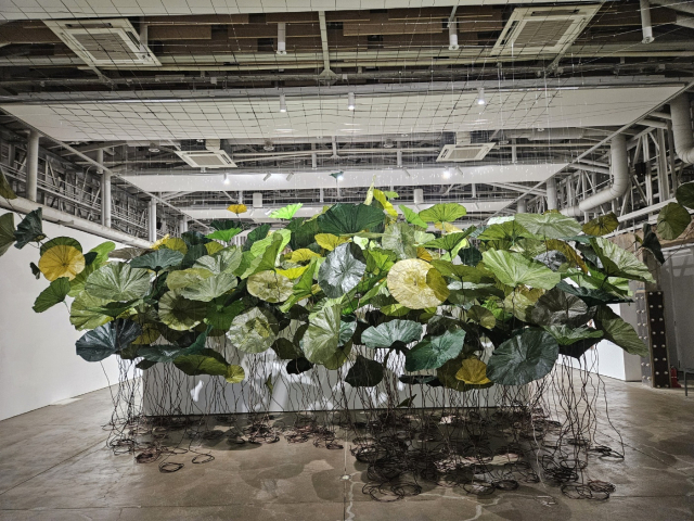 유미연 ‘연잎-나의 이름에서’. 김효정 기자