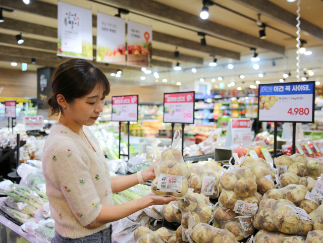 기업형 슈퍼마켓(SSM)이 1~2인 인구 증가와 고물가로 근거리 장보기 채널의 역할을 하고 있다. 롯데슈퍼(위)와 GS더프레시. 각 사 제공