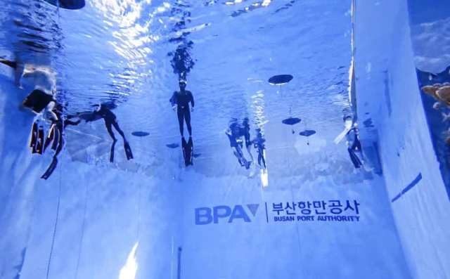 ‘부산 북항 마리나 다이빙풀＆수영장’에 페인트가 떨어져 우려의 목소리가 나온다. 독자 제공