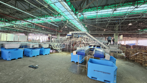 올해 본격 착공하는 부산공동어시장 현대화 사업에 올해 414억 원에 이어 내년에도 360억 원이 추가로 투입된다. 사진은 부산공동어시장 위판장에 올해 1월 설치된 고등어 자동 선별기. 이상배 기자 sangbae@