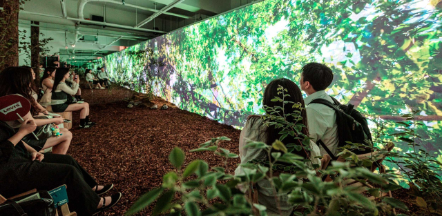 ‘세컨포레스트 디지털 치유정원’ 팝업 스토어에 방문한 관람객들이 디지털 기술로 구현된 가상의 숲과 정원을 체험하고 있다. 두나무 제공