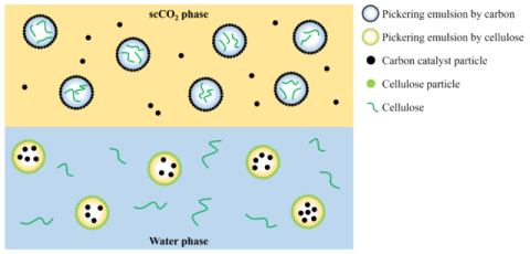 그림: 셀룰로오스 분해를 위한 물/초임계 이산화탄소 기반 에멀젼 반응시스템 모식도