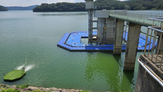 경남 진주시 진양호 취수장 모습. 물이 온통 진녹색으로 물들었다. 김현우 기자