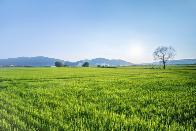 제주도에서 공공임대용 농지를 받아 친환경 농업을 해온 청년 농업인의 이야기가 농지은행사업 수기 공모전에서 최우수상을 받았다. 이미지투데이