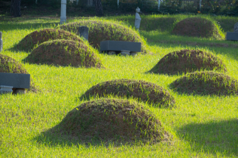 전통적인 봉분 매장 중심의 장묘 문화는 각종 묘지 관리 문제를 낳는다. 부산일보DB