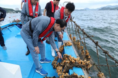 노동진 수협중앙회장(맨 앞)이 지난 8월 28일 경남 통영 연안에서 김태형 멍게수하식수협 조합장(오른쪽)으로부터 고수온으로 인한 멍게 양식장 피해상황을 살펴보고 있다. 수협 제공
