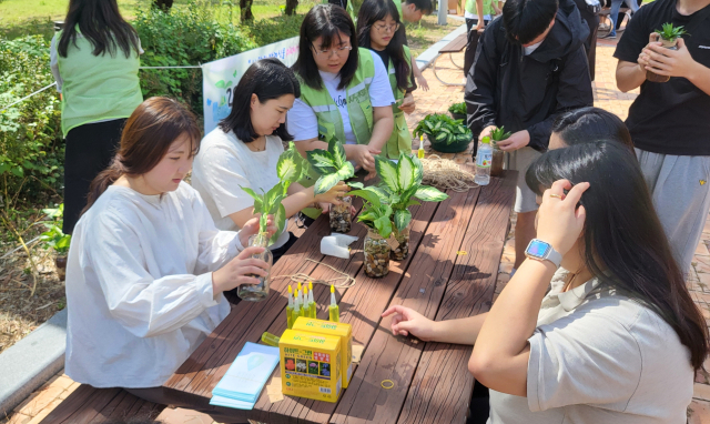 통영시새마을회 산하 경상국립대학교 해양과학대학 새마을동아리 Y-SMU는 26일 통영캠퍼스 기숙사 앞에서 ‘2024 푸른통영·녹색지구를 위한 생명교실’을 열었다. 참가자들이 반려 수생식물인 마리안느, 스킨답서스, 나한송 중 하나를 골라 직접 만들어보고있다. 사무국 제공