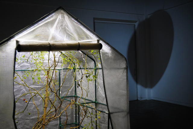 홍티아트센터 오픈 스튜디오 행사에서 만나는 엄정원 작가의 전시 전경. 부산문화재단 제공