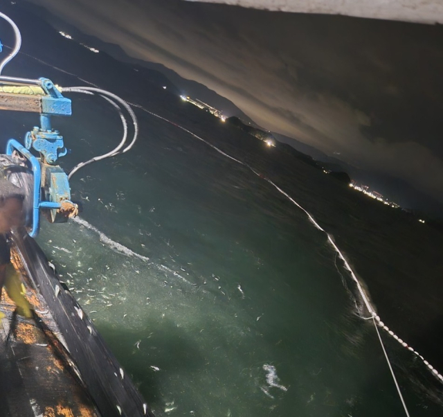 경남 창원 연안에서 정어리를 사전 포획하는 모습. 창원시 제공