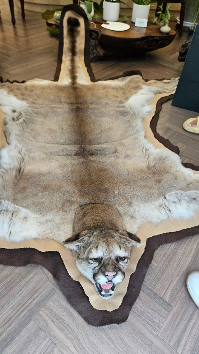 한 온라인 중고 거래 사이트에 올라온 퓨마 가죽 가공품 판매 게시물. 라이프 제공