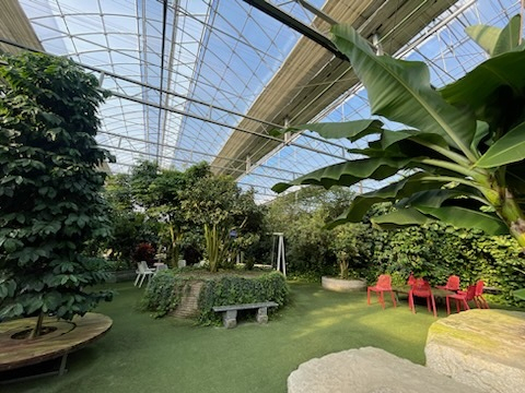 산림청 주관 아름다운 민간정원 30곳에 선정된 동백커피식물원. 통영시 제공