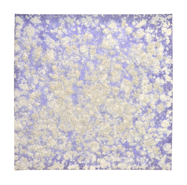 보스코 소디 ‘무제’. 부조 회화라고 불리는 이 작품은 표면의 입체적인 질감이 인상적이다. 조현 화랑 제공