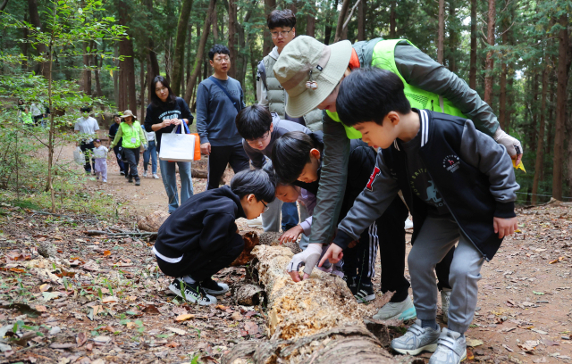 10일 부산 부산진구 부산어린이창의교육관에서 열린 ‘숲愛꿈 가을놀이터’ 행사 참가자들이 숲 해설가와 함께 체험 활동을 하고 있다. 정종회 기자 jjh@