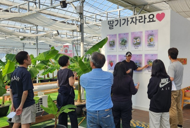 ‘스마트팜 현장실습형 교육’ 참가자들이 포천딸기 힐링팜을 살펴보고 있다.