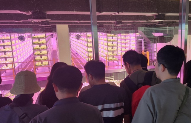 ‘스마트팜 현장실습형 교육’ 참가자들이 국내 대표 스마트팜 기업인 플랜티팜의 수직농장을 견학하고 있다. 농진원 제공