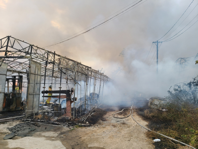 14일 오후 3시 부산 강서구의 한 종이상자 제조 공장 내 비닐하우스에서 불이 났다. 부산소방재난본부 제공