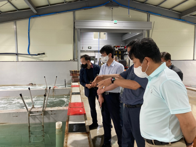 한국해양수산개발원(KMI) 수산업관측센터 관계자들이 양식 현장을 살피고 있다. KMI 제공