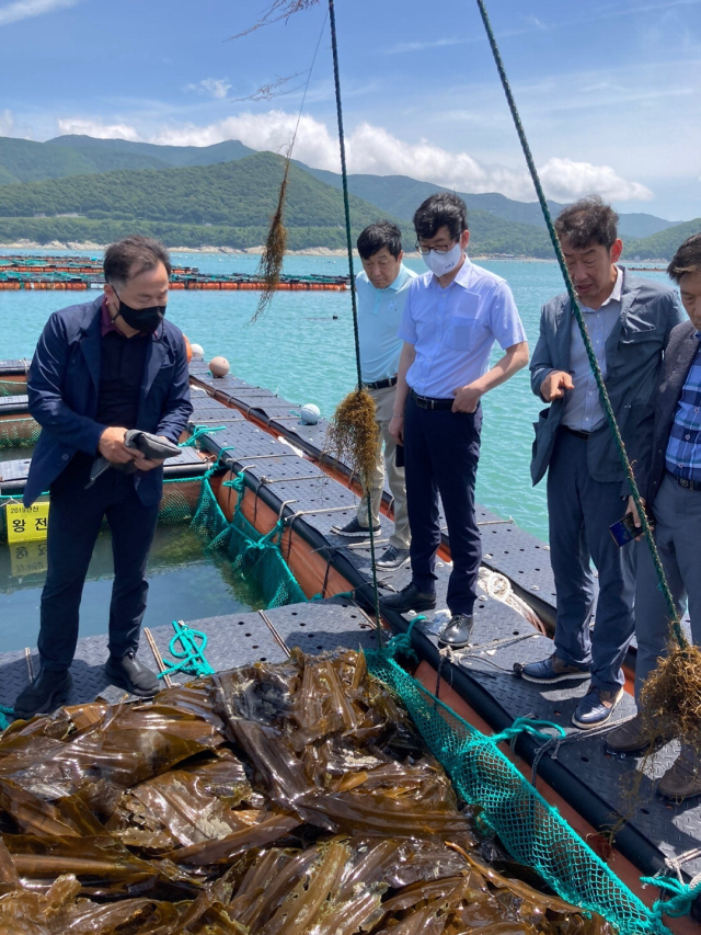 KMI 관계자들이 수산업 현장에서 어획물을 직접 확인하고 있다. KMI 제공