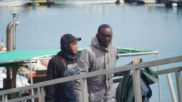 국내 마라톤대회에 참가하는 것처럼 허위 서류를 꾸며 동아프리카 케냐의 육상선수들을 입국시켜 불법 취업을 알선한 브로커 일당이 해경에 붙잡혔다. 케냐 선수들이 경남 일대 양식장에서 일하고 있는 모습. 창원해경 제공