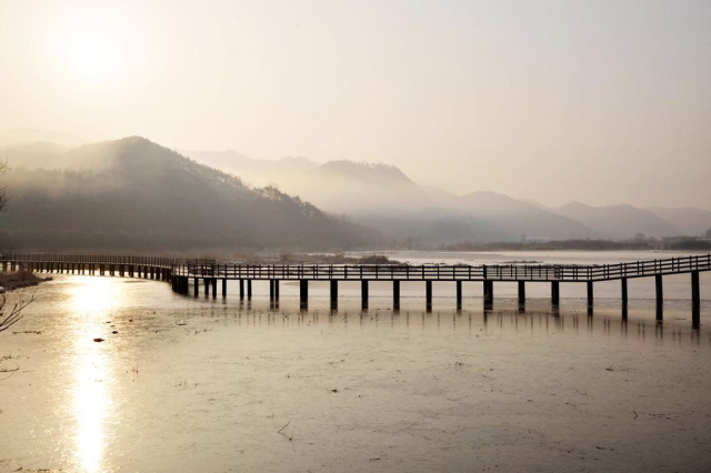 합천 정양늪 전경. 지난해부터 정양늪 습지보호지역 지정이 본격적으로 추진되고 있다. 합천군 제공
