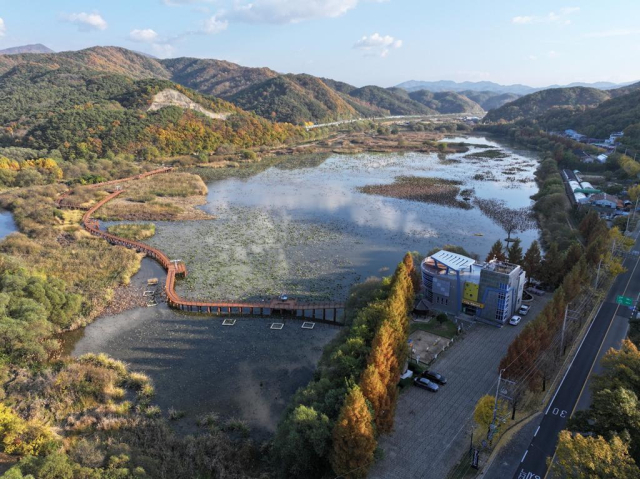 정양늪은 규모는 작지만 총 690여 종의 동식물이 살고 있는 보전가치가 매우 높은 습지다. 합천군 제공