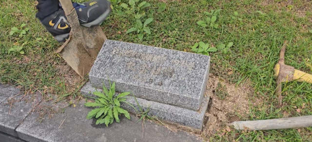 지난 15일 해운대구청이 구청 내 ‘전두환 기념식수 표지석’을 철거하고 있다. 해운대구청 제공