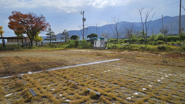 1년째 관리가 되질 않으면서 알프스 푸드마켓은 잡초투성이가 됐다. 김현우 기자