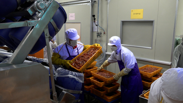 세척된 명란을 소금, 조미액이 담긴 원통에 붓고 있습니다. 명란이 바닥에 떨어지지 않도록 주의해야 합니다. 이정 PD luce@