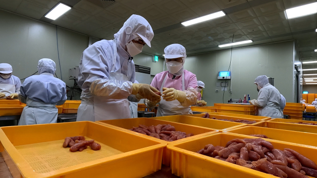 명란을 정란, 절란(파손), 가무꼬(미성숙) 등 세가지로 분류하고 있습니다. 그 과정에서 흑막 등 이물질도 제거하는데 명란이 찢어지지 않도록 주의해야 합니다. 이정 PD luce@