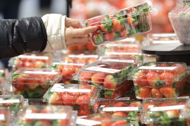 폭염이나 한파 등 이상 기후에도 불구하고 딸기를 잘 재배할 수 있는 인공지능(AI) 모델 개발 경진대회가 열린다. 사진은 한 대형마트에서 딸기를 고르는 사람. 연합뉴스