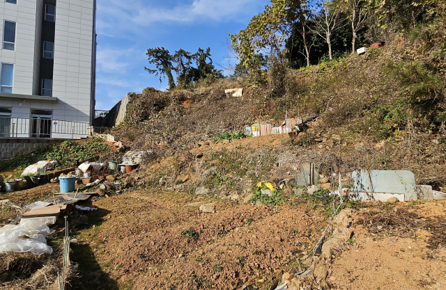 2014년 10월 삼도수군통제사 사적비 24기가 발굴된 통영의 한 텃밭. 추가 발굴 필요성이 제기됐지만 예산 부족으로 지금까지 방치됐다. 부산일보DB