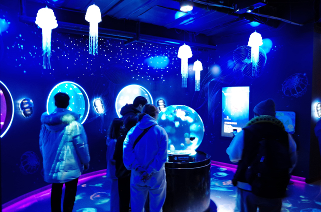 다양한 조명으로 빛나는 해파리존 모습. 씨라이프 부산 제공