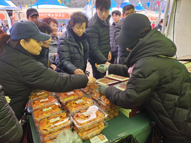 지난해 지리산함양 고종시곶감 축제 모습. 올해는 1월 3일 개최 예정이었지만 일주일 연기됐다. 김현우 기자