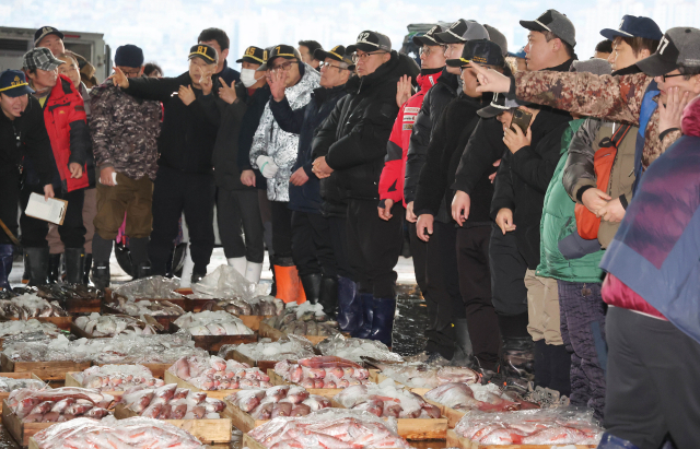 국내 최대 산지 수산물 위판장인 부산공동어시장의 올해 새해 첫 경매가 시작된 지난 1월 2일 오전 중도매인들이 첫 경매를 진행하고 있다. 정종회 기자 jjh@